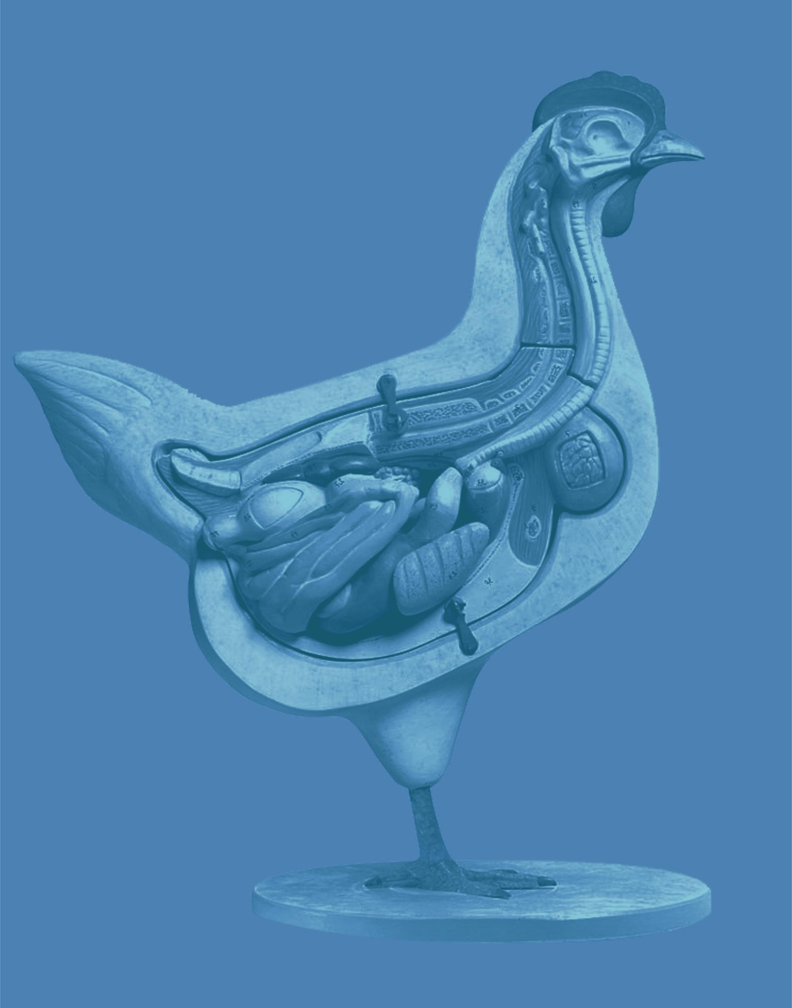 Biological