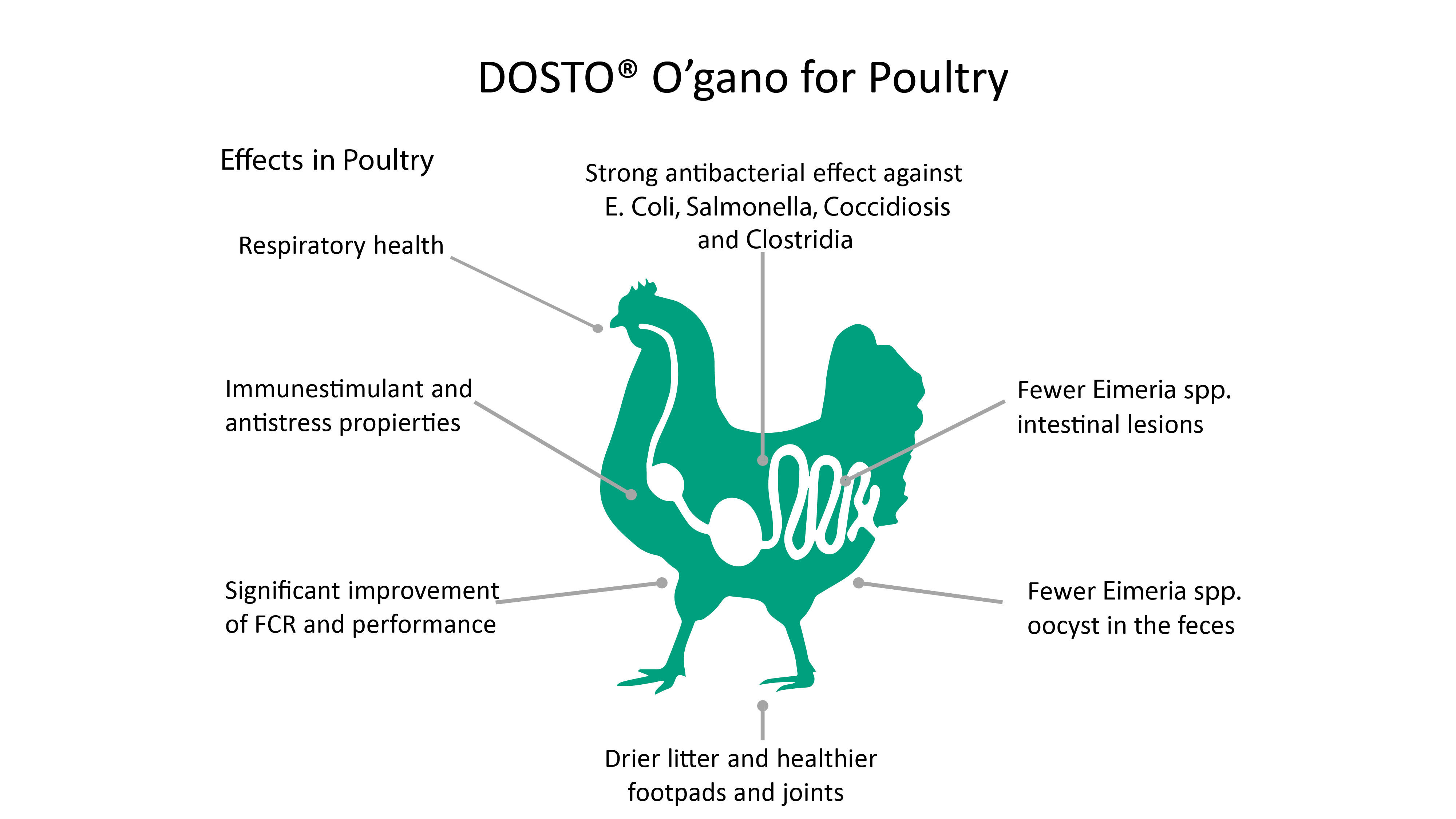 Immeureka